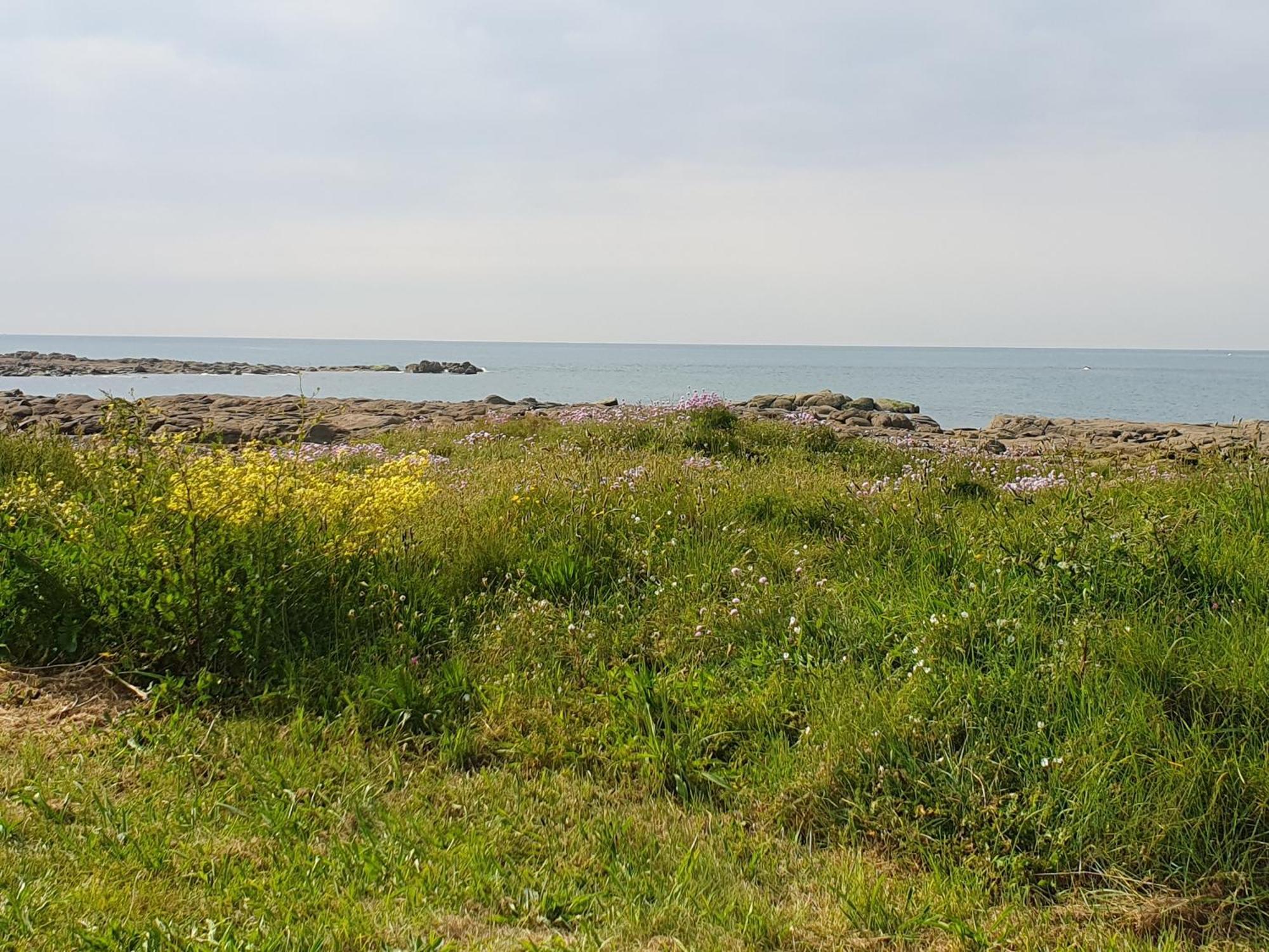 Le Relais Du Phare 호텔 Gatteville-le-Phare 외부 사진